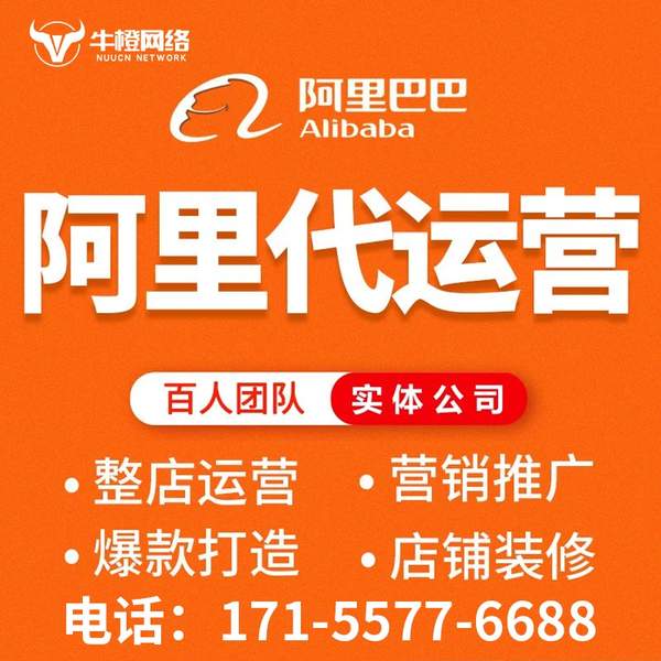 丰城电商代运营