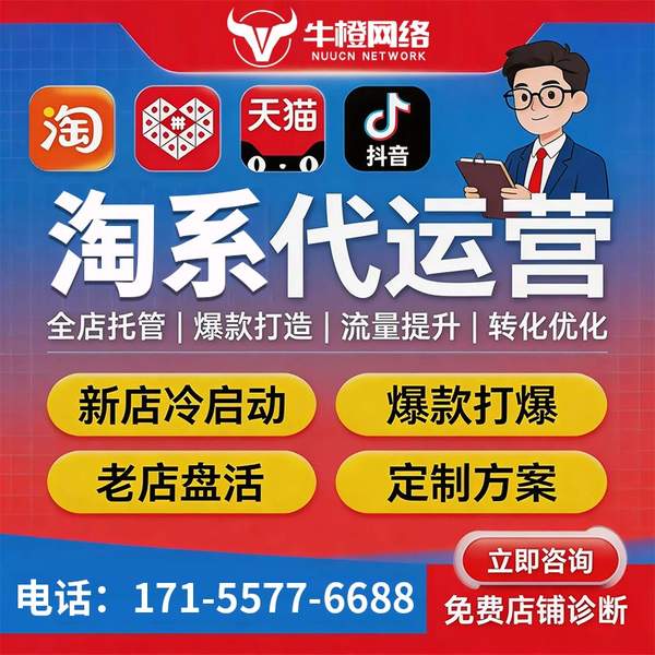 丰城电商代运营