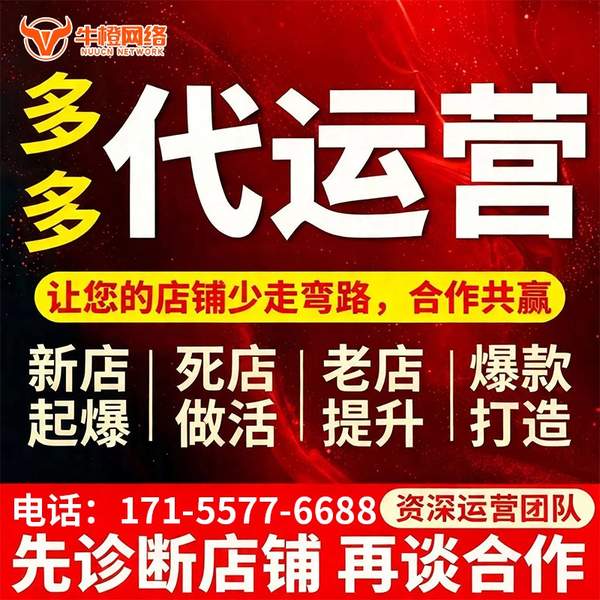 丰城电商代运营