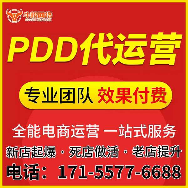 丰城电商代运营