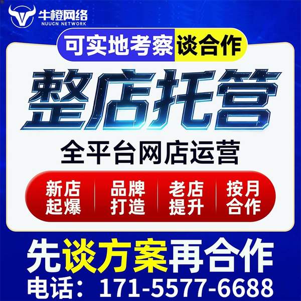 丰城电商代运营