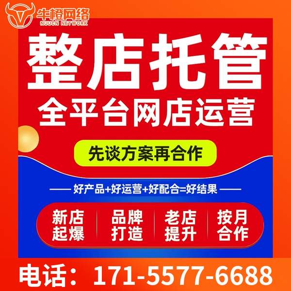 丰城电商代运营