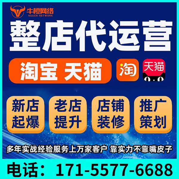 丰城电商代运营