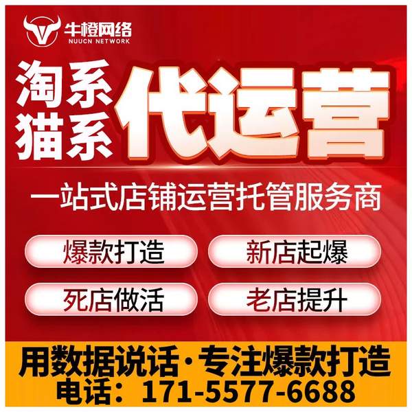 丰城电商代运营
